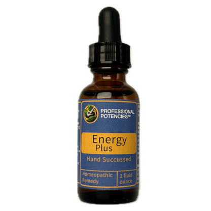 Energy Plus™